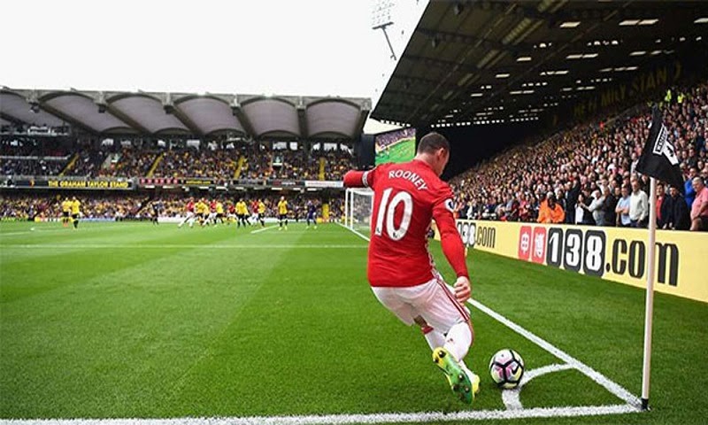 c&aacute;c kiểu c&aacute; độ b&oacute;ng đ&aacute;