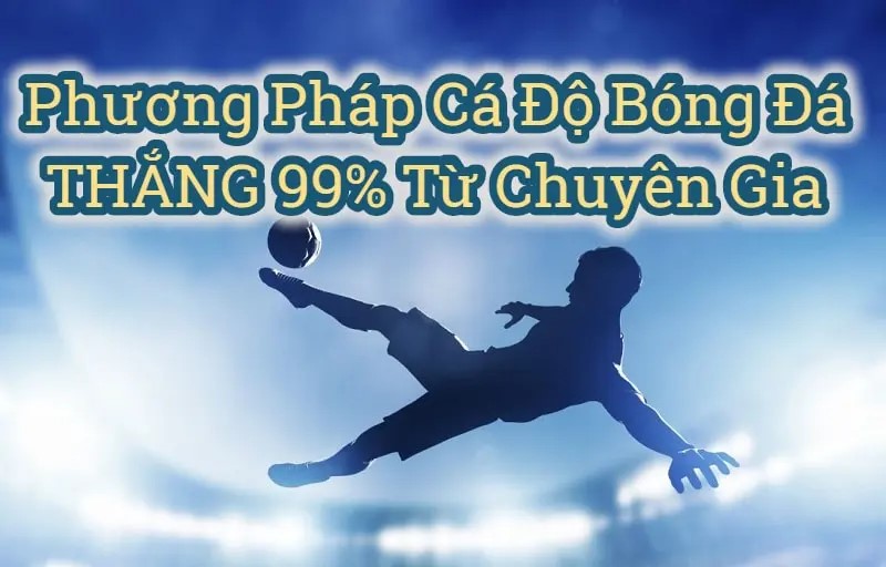 phương ph&aacute;p c&aacute; độ b&oacute;ng đ&aacute;